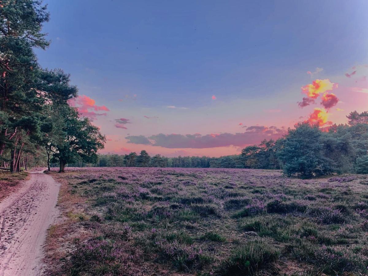Sluwe Vos: Ontspannen In Het Bos! Otterlo Buitenkant foto