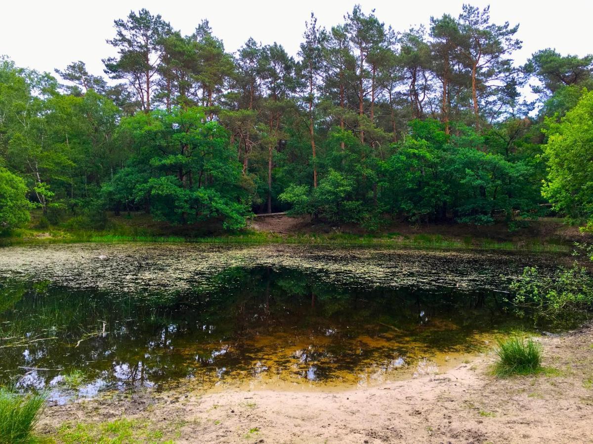 Sluwe Vos: Ontspannen In Het Bos! Otterlo Buitenkant foto